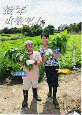 解谜十二时综艺免费在线观看